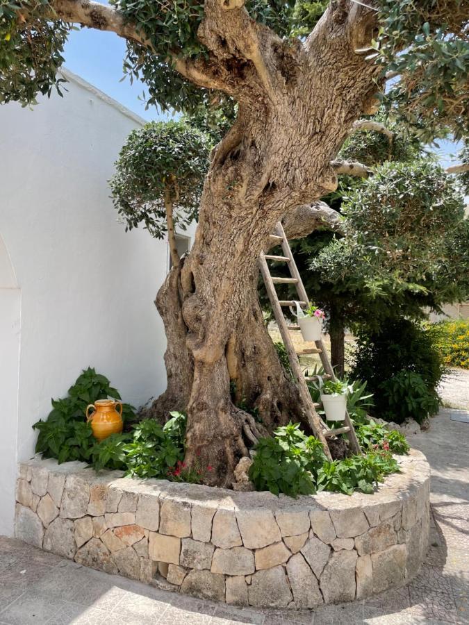 Villa Il Trullo Di Nonno Licchio à Alberobello Extérieur photo