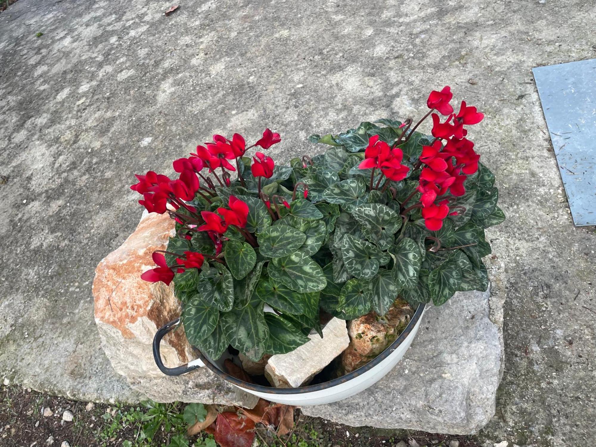 Villa Il Trullo Di Nonno Licchio à Alberobello Extérieur photo