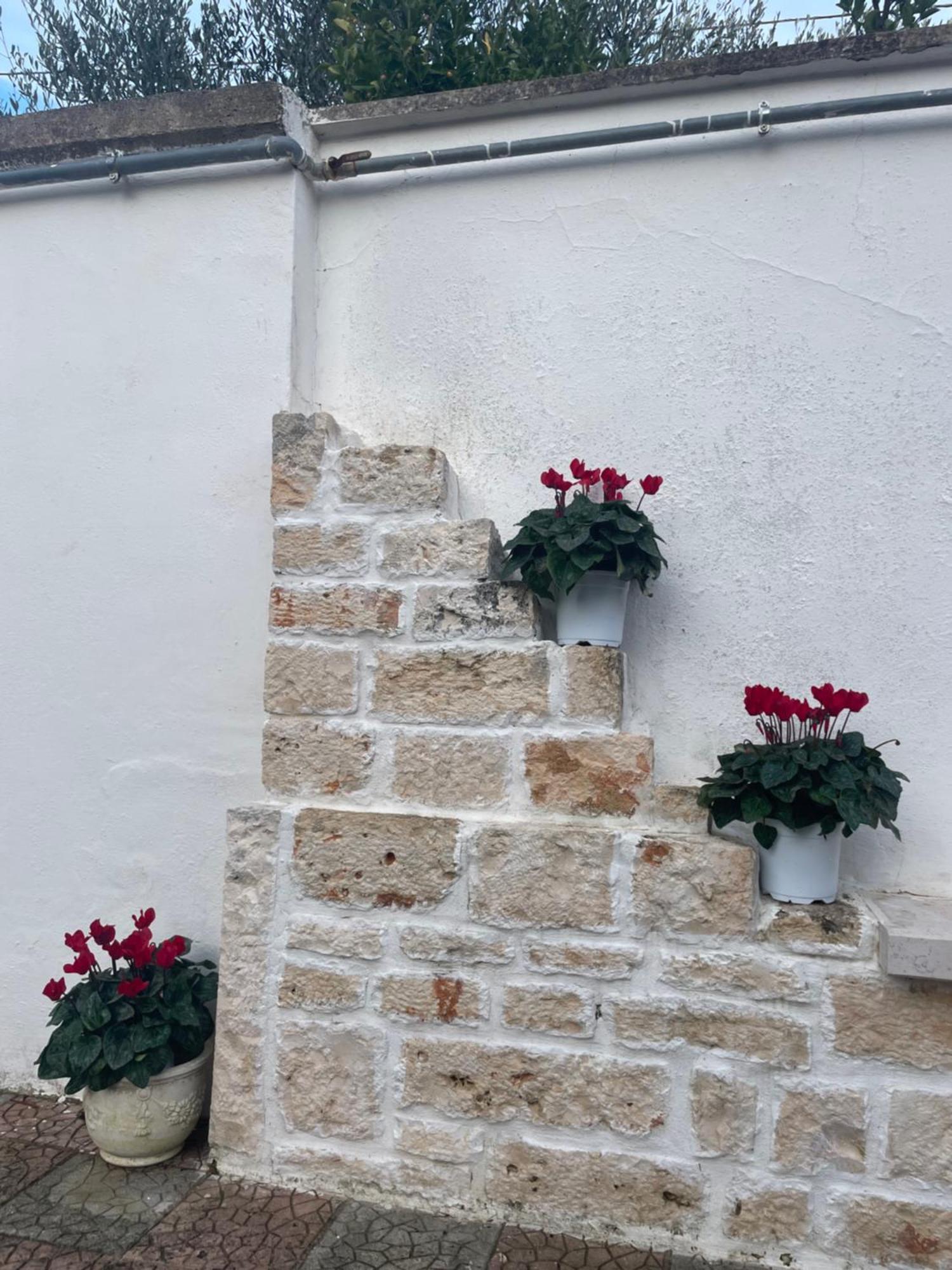 Villa Il Trullo Di Nonno Licchio à Alberobello Extérieur photo
